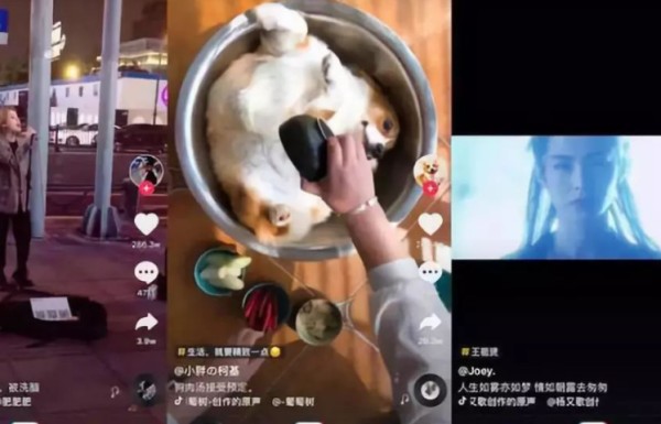 抖音注销大概多少天好