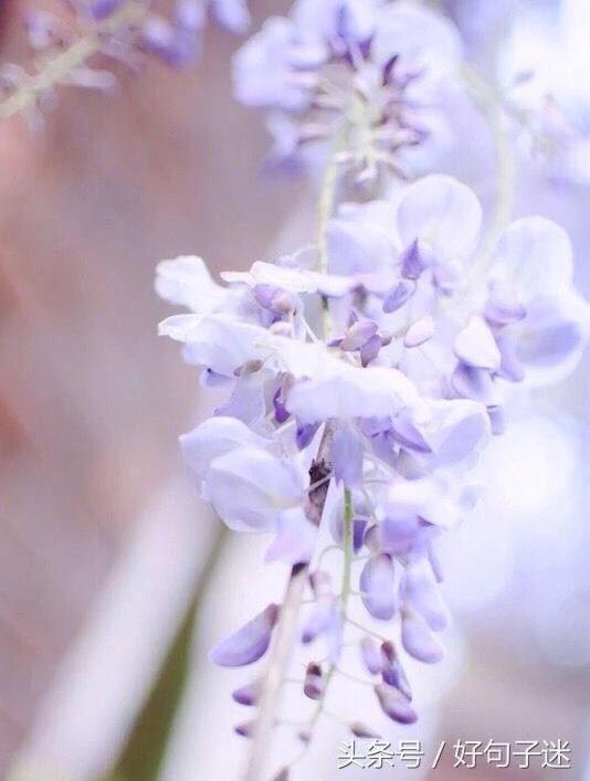 微信朋友圈最走心的爱情语录短句网络很流行很火！