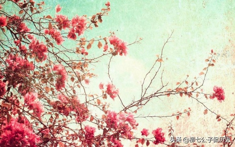 在微信里谈情说爱你仿佛看到了爱情最初的样子纯粹又美好！