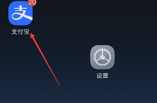 如何使用支付宝账号与密码登录?