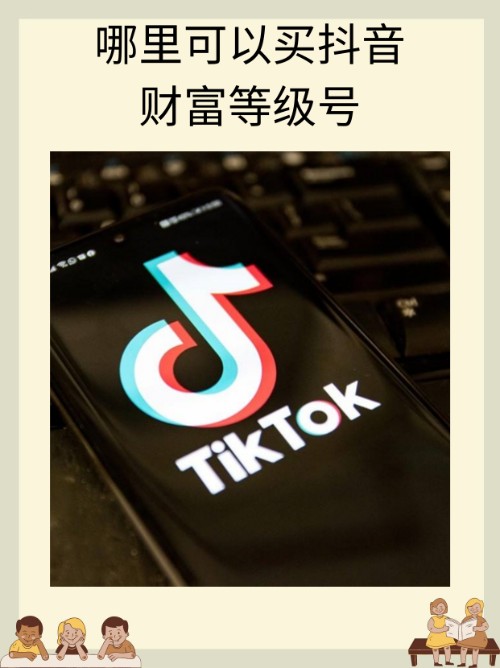 哪里可以买到财富等级号？